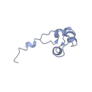 3180_5fja_J_v1-3
Cryo-EM structure of yeast RNA polymerase III at 4.7 A