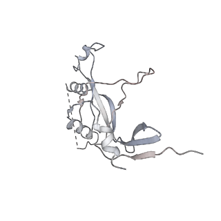 3180_5fja_M_v1-3
Cryo-EM structure of yeast RNA polymerase III at 4.7 A