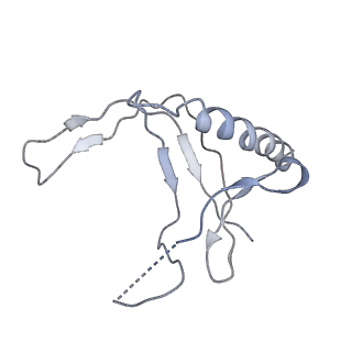 3180_5fja_N_v1-3
Cryo-EM structure of yeast RNA polymerase III at 4.7 A