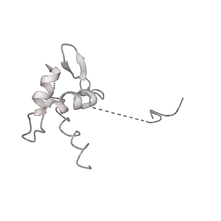 3180_5fja_P_v1-3
Cryo-EM structure of yeast RNA polymerase III at 4.7 A