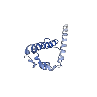 29248_8fk5_A_v1-1
Cryo-EM Structure of PG9RSH DU011 Fab in complex with BG505 DS-SOSIP.664