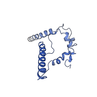 29248_8fk5_B_v1-1
Cryo-EM Structure of PG9RSH DU011 Fab in complex with BG505 DS-SOSIP.664