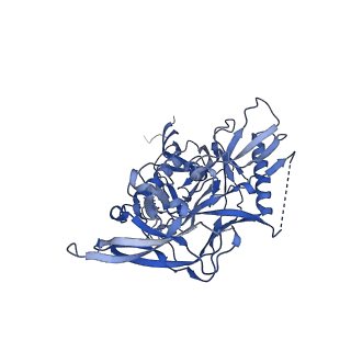 29248_8fk5_G_v1-1
Cryo-EM Structure of PG9RSH DU011 Fab in complex with BG505 DS-SOSIP.664