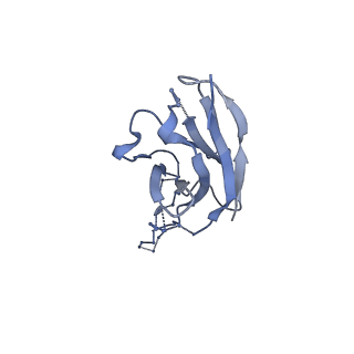 29248_8fk5_H_v1-1
Cryo-EM Structure of PG9RSH DU011 Fab in complex with BG505 DS-SOSIP.664