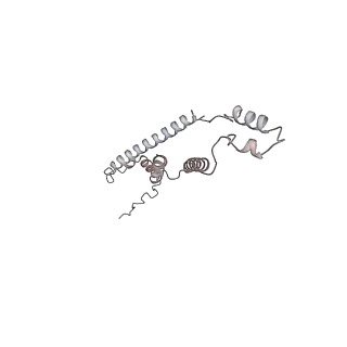 29250_8fkj_7_v1-2
Yeast ATP Synthase in conformation-3, at pH 6