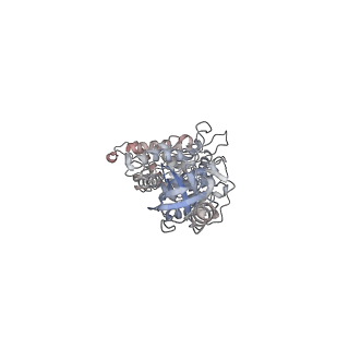 29250_8fkj_A_v1-2
Yeast ATP Synthase in conformation-3, at pH 6