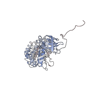 29250_8fkj_C_v1-0
Yeast ATP Synthase in conformation-3, at pH 6