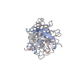 29250_8fkj_D_v1-2
Yeast ATP Synthase in conformation-3, at pH 6