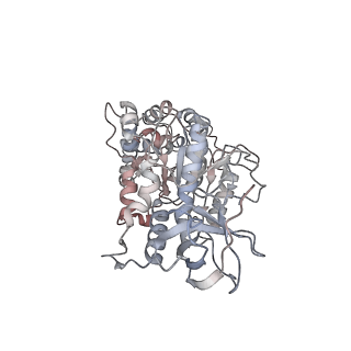 29250_8fkj_E_v1-0
Yeast ATP Synthase in conformation-3, at pH 6