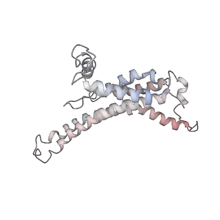 29250_8fkj_X_v1-0
Yeast ATP Synthase in conformation-3, at pH 6