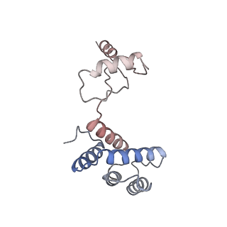 29250_8fkj_Y_v1-0
Yeast ATP Synthase in conformation-3, at pH 6
