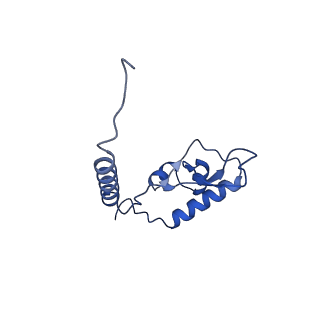 29252_8fkp_L6_v1-0
Human nucleolar pre-60S ribosomal subunit (State A1)