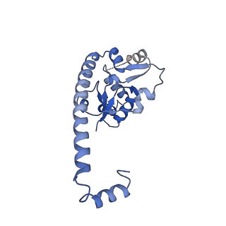 29252_8fkp_L7_v1-0
Human nucleolar pre-60S ribosomal subunit (State A1)