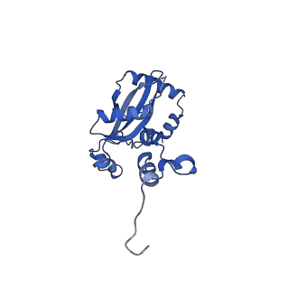 29252_8fkp_L9_v1-0
Human nucleolar pre-60S ribosomal subunit (State A1)