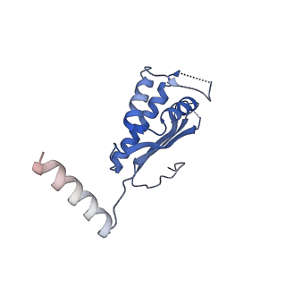 29252_8fkp_LA_v1-0
Human nucleolar pre-60S ribosomal subunit (State A1)