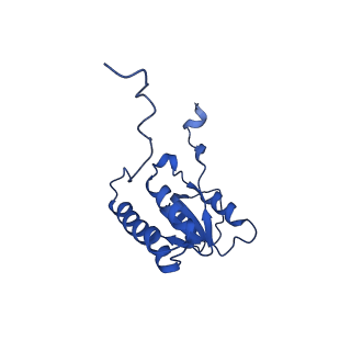 29252_8fkp_LB_v1-0
Human nucleolar pre-60S ribosomal subunit (State A1)