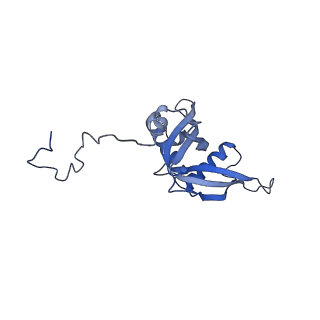 29252_8fkp_LC_v1-0
Human nucleolar pre-60S ribosomal subunit (State A1)