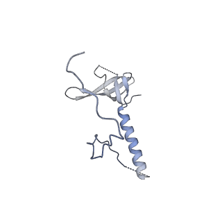 29252_8fkp_LE_v1-0
Human nucleolar pre-60S ribosomal subunit (State A1)