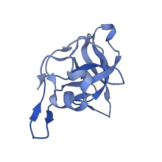 29252_8fkp_LG_v1-0
Human nucleolar pre-60S ribosomal subunit (State A1)