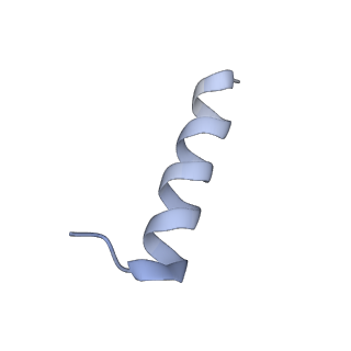 29252_8fkp_LH_v1-0
Human nucleolar pre-60S ribosomal subunit (State A1)