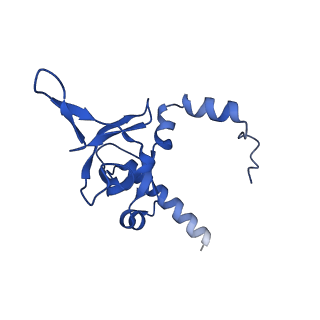 29252_8fkp_LI_v1-0
Human nucleolar pre-60S ribosomal subunit (State A1)