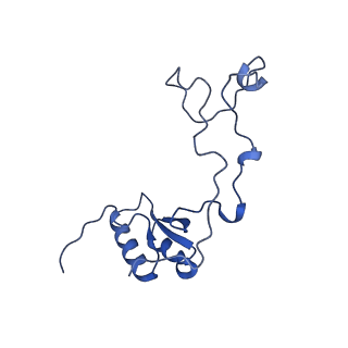 29252_8fkp_LQ_v1-0
Human nucleolar pre-60S ribosomal subunit (State A1)