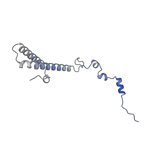 29252_8fkp_LS_v1-0
Human nucleolar pre-60S ribosomal subunit (State A1)