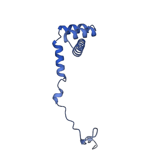 29252_8fkp_LU_v1-0
Human nucleolar pre-60S ribosomal subunit (State A1)