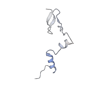 29252_8fkp_LW_v1-0
Human nucleolar pre-60S ribosomal subunit (State A1)