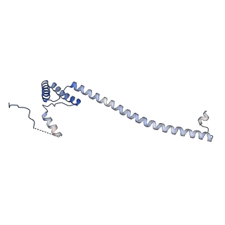 29252_8fkp_NE_v1-0
Human nucleolar pre-60S ribosomal subunit (State A1)