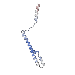 29252_8fkp_NG_v1-0
Human nucleolar pre-60S ribosomal subunit (State A1)