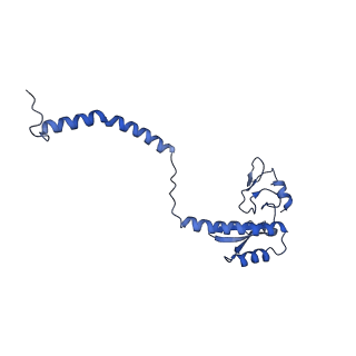 29252_8fkp_NM_v1-0
Human nucleolar pre-60S ribosomal subunit (State A1)