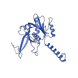 29252_8fkp_NN_v1-0
Human nucleolar pre-60S ribosomal subunit (State A1)
