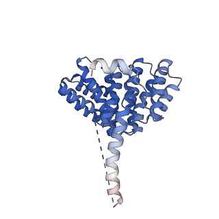 29252_8fkp_NO_v1-0
Human nucleolar pre-60S ribosomal subunit (State A1)