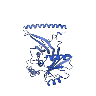 29252_8fkp_NS_v1-0
Human nucleolar pre-60S ribosomal subunit (State A1)