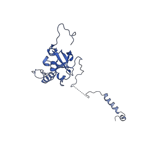 29252_8fkp_SC_v1-0
Human nucleolar pre-60S ribosomal subunit (State A1)