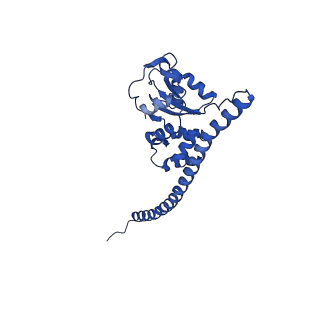 29252_8fkp_SD_v1-0
Human nucleolar pre-60S ribosomal subunit (State A1)