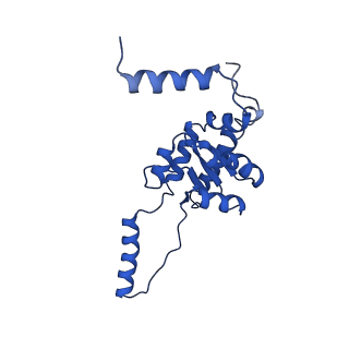 29252_8fkp_SE_v1-0
Human nucleolar pre-60S ribosomal subunit (State A1)