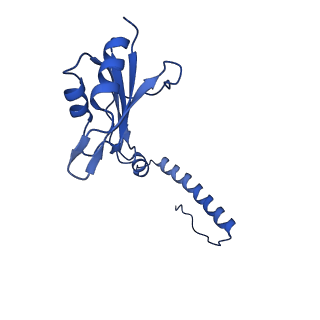 29252_8fkp_SH_v1-0
Human nucleolar pre-60S ribosomal subunit (State A1)