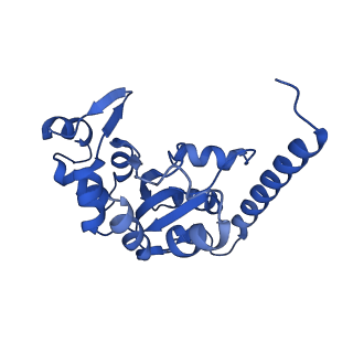 29252_8fkp_SI_v1-0
Human nucleolar pre-60S ribosomal subunit (State A1)