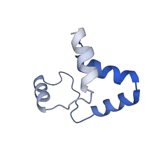 29252_8fkp_SJ_v1-0
Human nucleolar pre-60S ribosomal subunit (State A1)