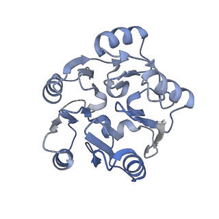 29252_8fkp_SK_v1-0
Human nucleolar pre-60S ribosomal subunit (State A1)