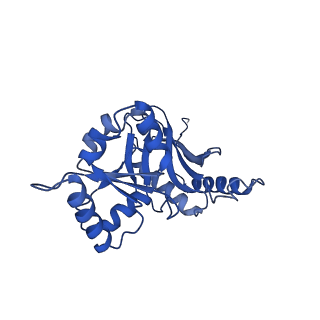 29252_8fkp_SL_v1-0
Human nucleolar pre-60S ribosomal subunit (State A1)