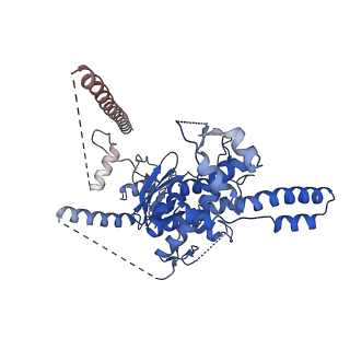 29252_8fkp_SM_v1-0
Human nucleolar pre-60S ribosomal subunit (State A1)