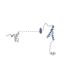 29252_8fkp_SN_v1-0
Human nucleolar pre-60S ribosomal subunit (State A1)