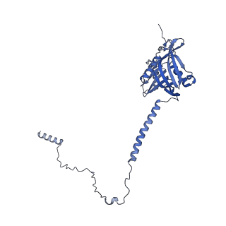 29252_8fkp_SO_v1-0
Human nucleolar pre-60S ribosomal subunit (State A1)