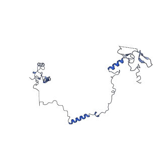 29252_8fkp_SS_v1-0
Human nucleolar pre-60S ribosomal subunit (State A1)