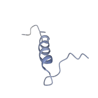 29252_8fkp_ST_v1-0
Human nucleolar pre-60S ribosomal subunit (State A1)
