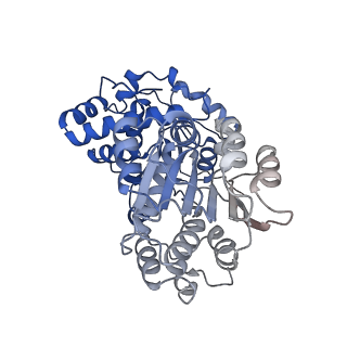 29252_8fkp_SW_v1-0
Human nucleolar pre-60S ribosomal subunit (State A1)