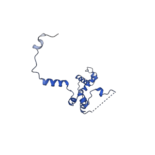 29252_8fkp_SZ_v1-0
Human nucleolar pre-60S ribosomal subunit (State A1)